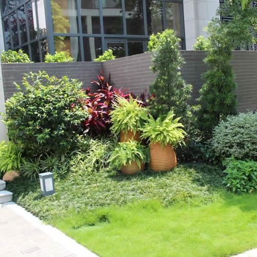 案例展示