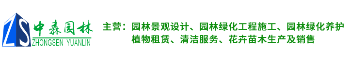 廣東中森園林建筑有限公司